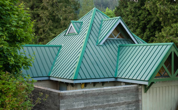 Best Skylight Installation and Repair  in Unalaska, AK